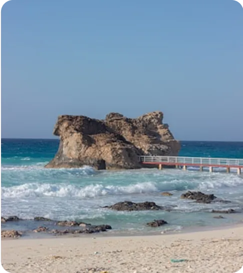 Egyptian agricultural and industrial resources