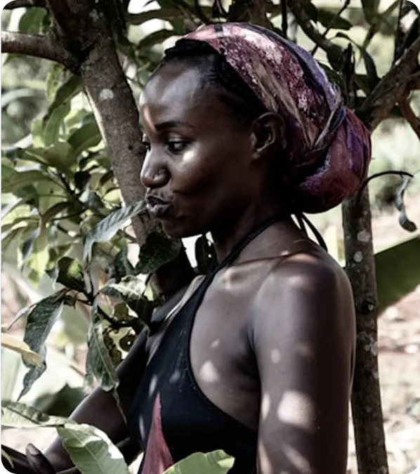 African business professionals discussing opportunities